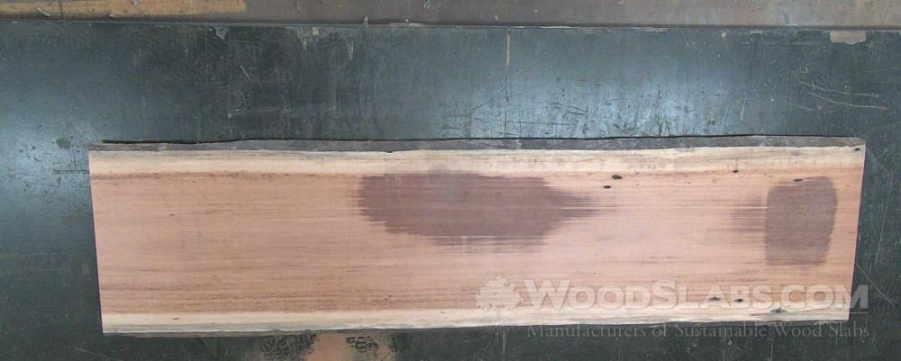 Tigerwood Wood Slab #U1X-SVL-WQG6