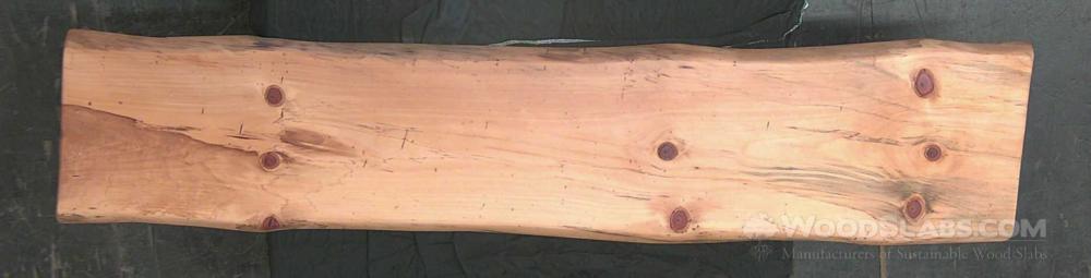 Norfolk Island Pine Wood Slab #65U-3QJ-OLQE