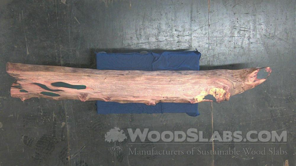 Eucalyptus Wood Slab #24J-2R0-6ZI7