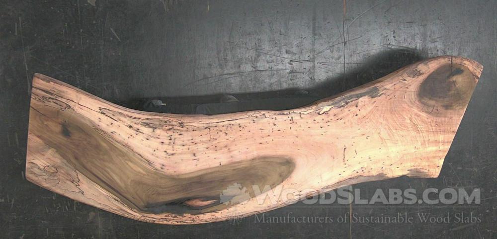 tulip popular Wood Slab #K8U-2Q3-94S7