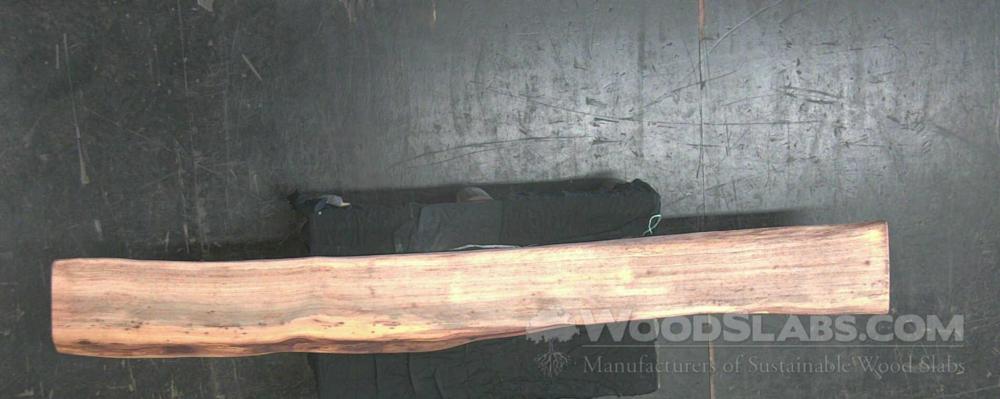 Sycamore Wood Slab #R1M-NWF-TF2N