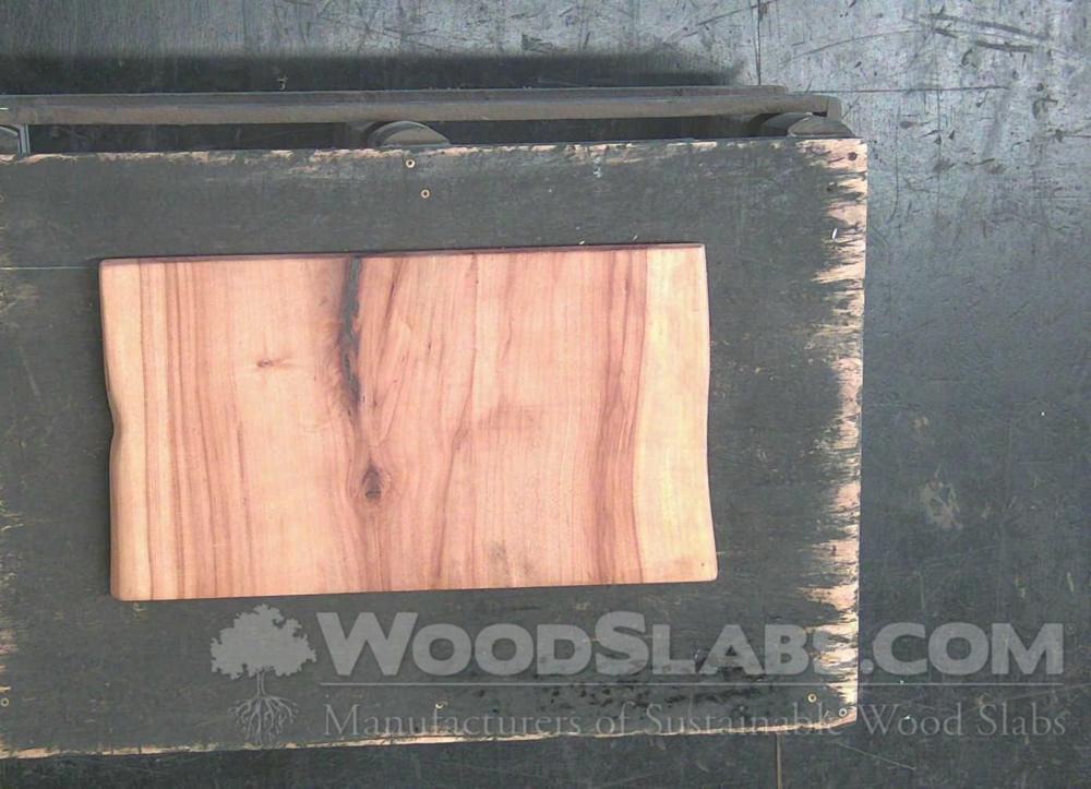 Pecan Wood Slab #G4X-ASD-Z64L