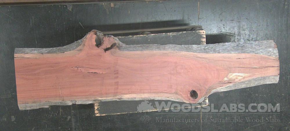 Eucalyptus Wood Slab #VF8-HYJ-1NLF