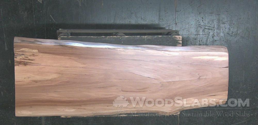 Sycamore Wood Slab #ORQ-O53-UG00