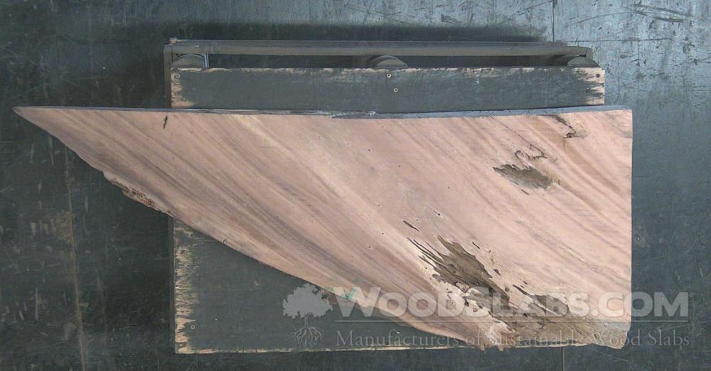 Monkey Pod Wood Slab #WA3-VTE-51H8