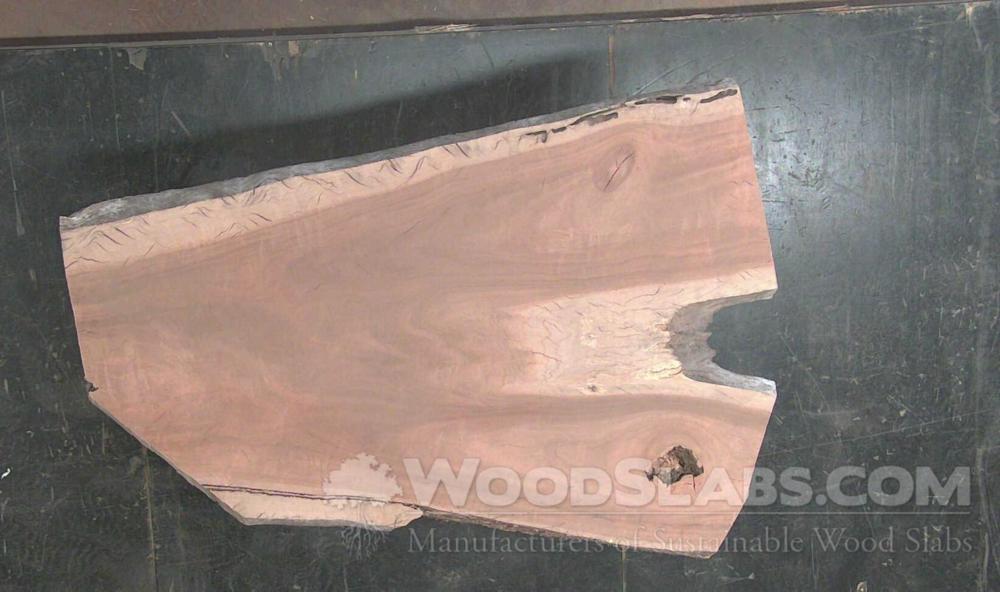 Walnut Wood Slab #7SC-WPM-4L50