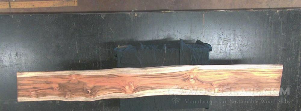 Latin Teak Wood Slab #5A5-0T0-43IP