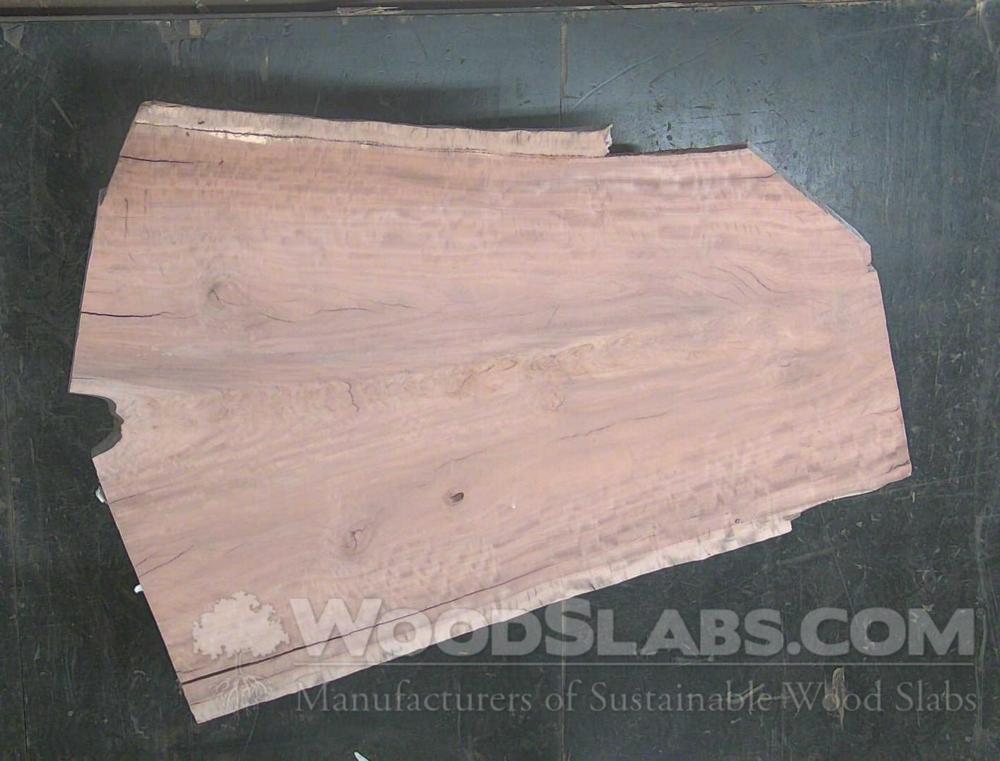 Claro Walnut Wood Slab #IV8-TYR-1TTZ