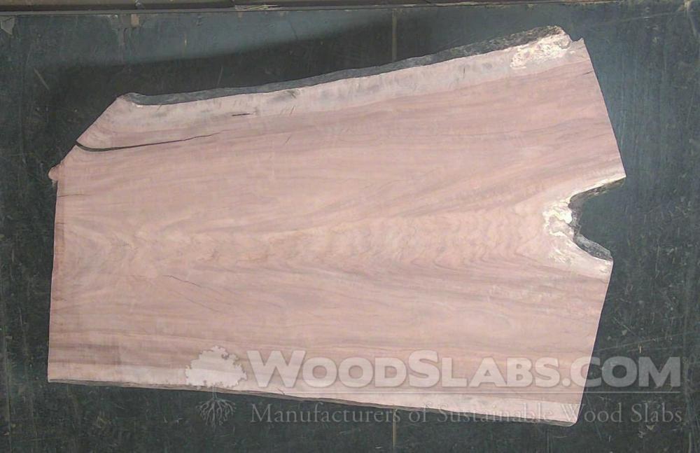 Claro Walnut Wood Slab #QPC-3Y3-K2WZ