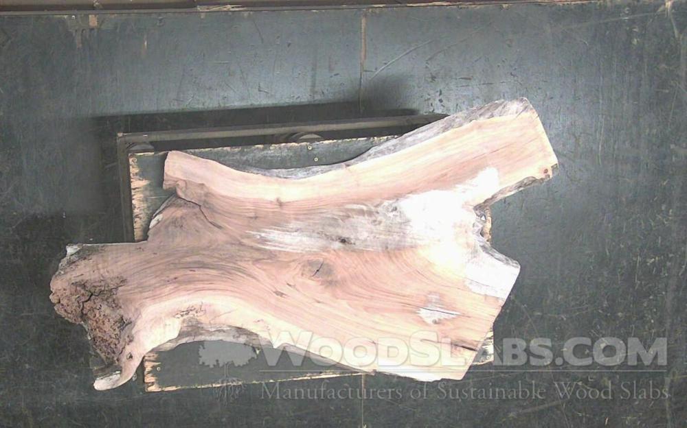 Claro Walnut Wood Slab #E5O-SOM-0BJY