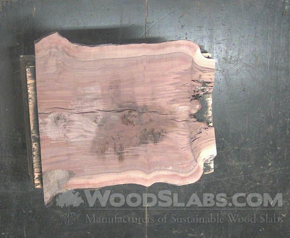 Claro Walnut Wood Slab #ZIR-4J7-PCU2