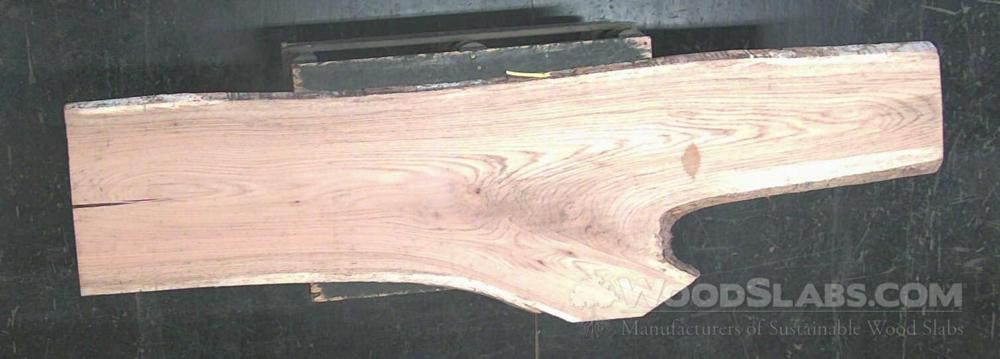 mulberry Wood Slab #EJZ-KU6-N58L