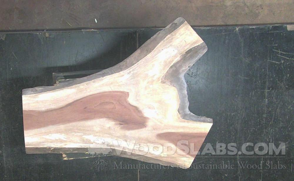Monkey Pod Wood Slab #IA6-DWE-492S