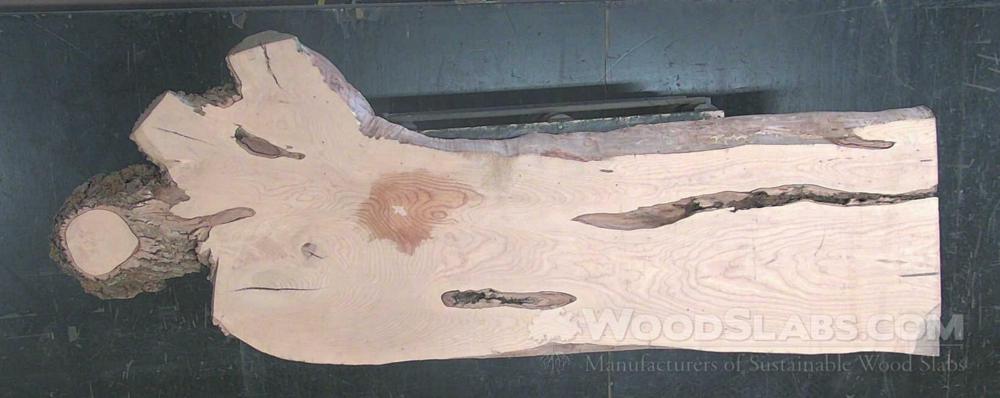 White Ash Wood Slab #ZA9-EDC-MVVH