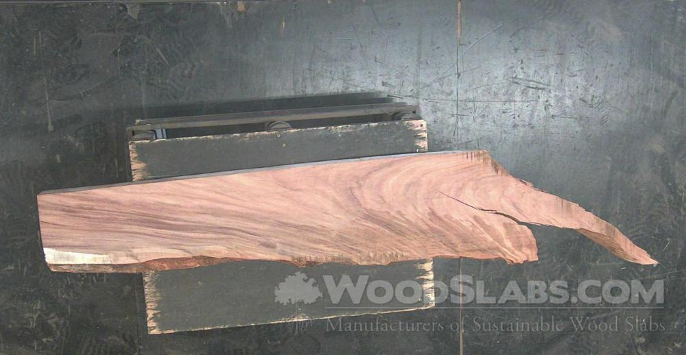 Monkey Pod Wood Slab #7QM-CJC-IFJ3