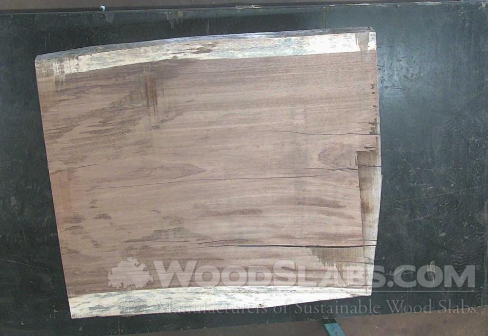 Monkey Pod Wood Slab #BW6-AZH-QT5U