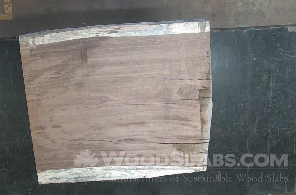 Parota Wood Slab #222-HUA-RSZX