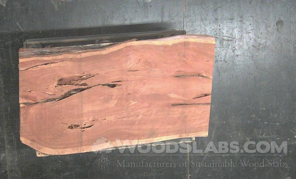 Aromatic Cedar Wood Slab #L0H-7HN-QLXV