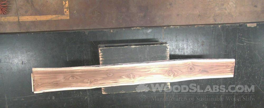 Latin Teak Wood Slab #3UZ-CL7-A1D0