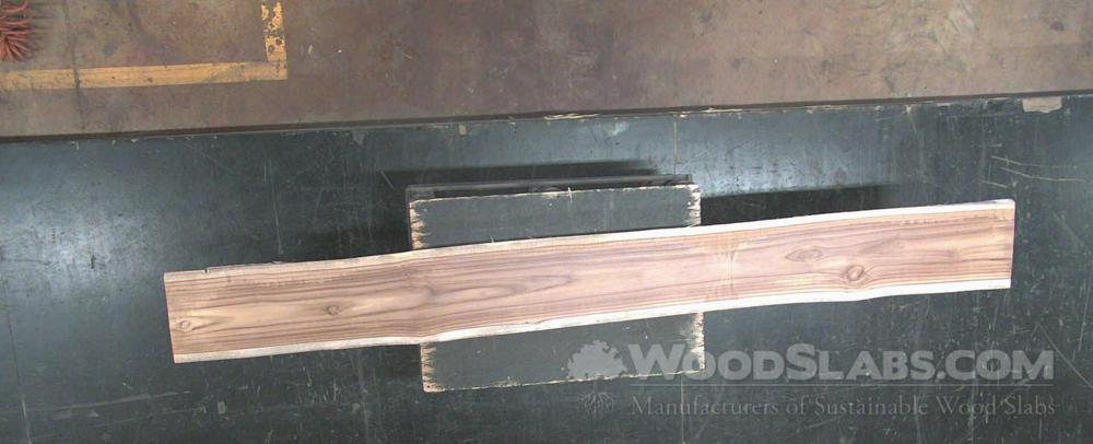 Latin Teak Wood Slab #6OL-BUI-XJB8