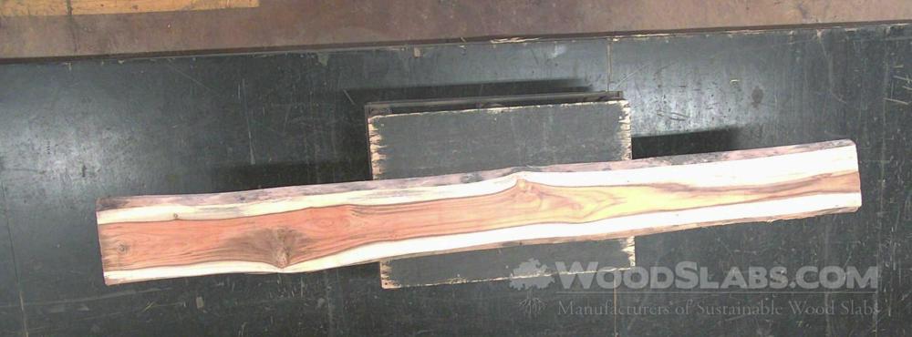 Latin Teak Wood Slab #12X-R6F-L9KJ