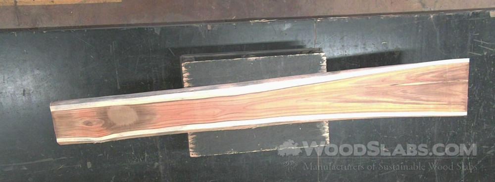 Latin Teak Wood Slab #WA0-8BY-A4SW