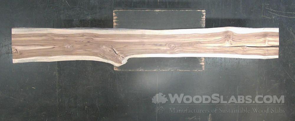 Latin Teak Wood Slab #INK-PT0-V2FT