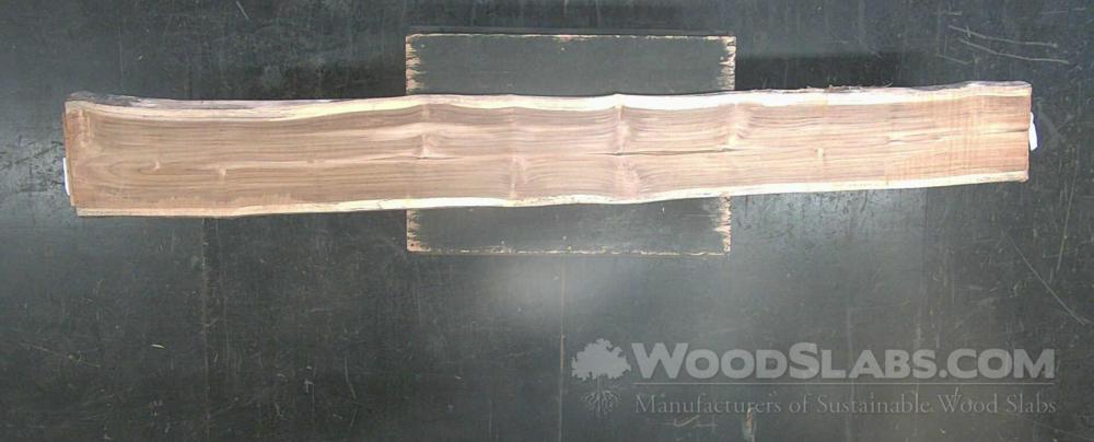 Latin Teak Wood Slab #OG9-369-FSOH