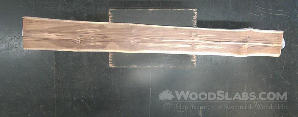 Latin Teak Wood Slab #3WK-31D-05Y3