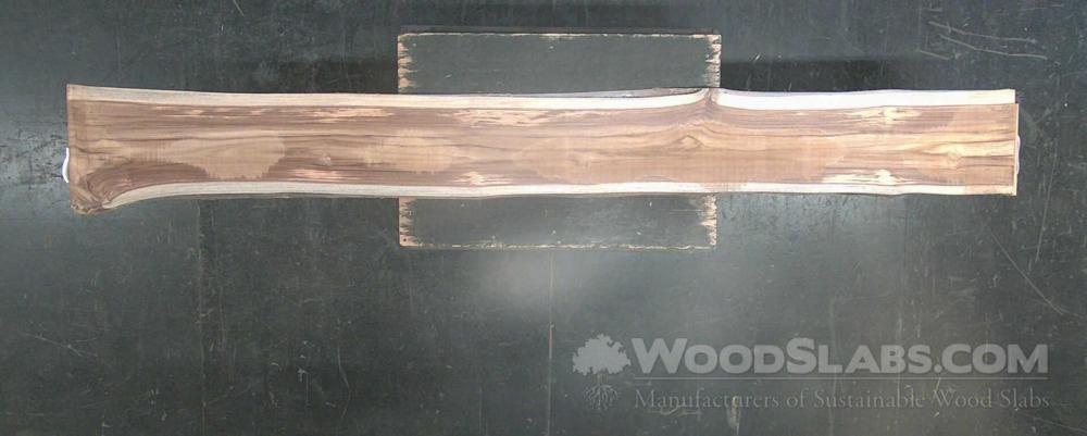 Latin Teak Wood Slab #D3T-UHM-WW4X