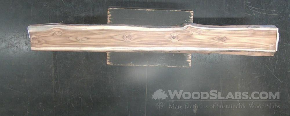 Latin Teak Wood Slab #OPR-2MV-G5LE