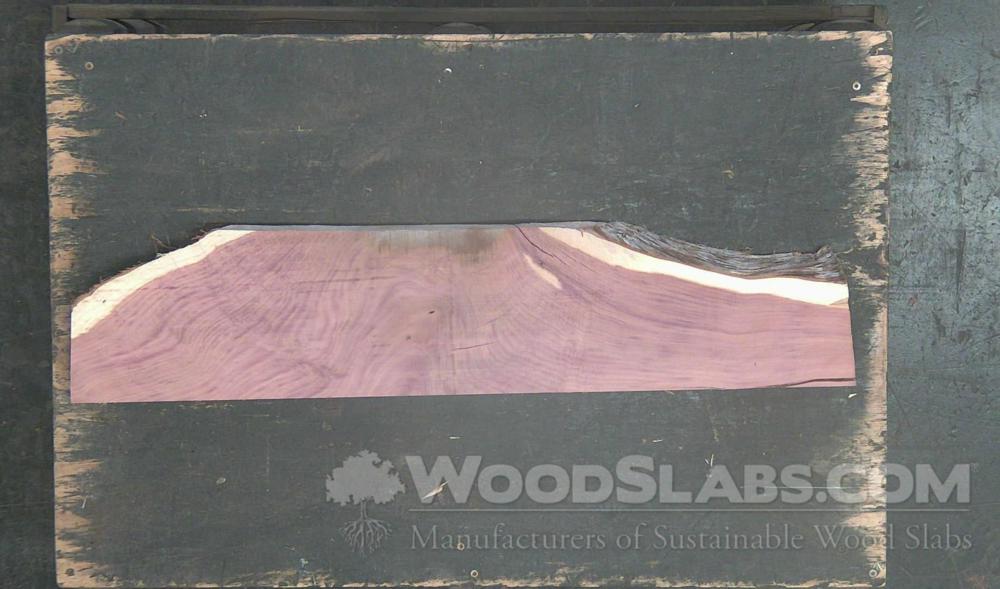 Aromatic Cedar Wood Slab #YCQ-MHC-BCLM