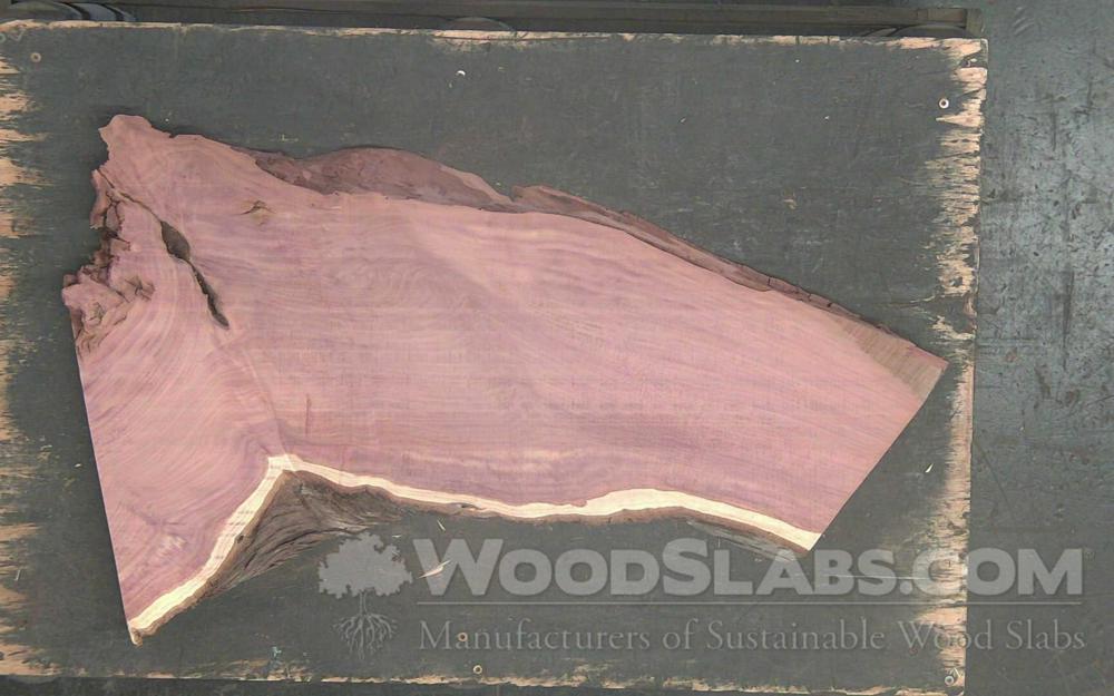 Aromatic Cedar Wood Slab #1IB-PZ5-YXYN