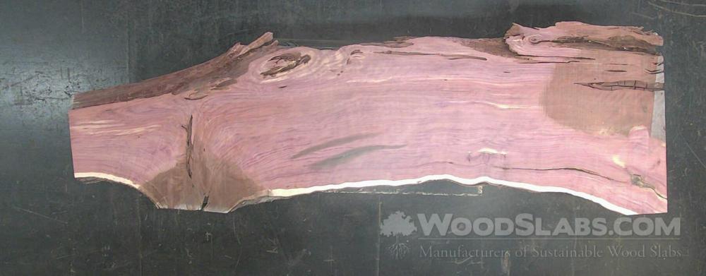 Aromatic Cedar Wood Slab #7PC-KM6-8MYB