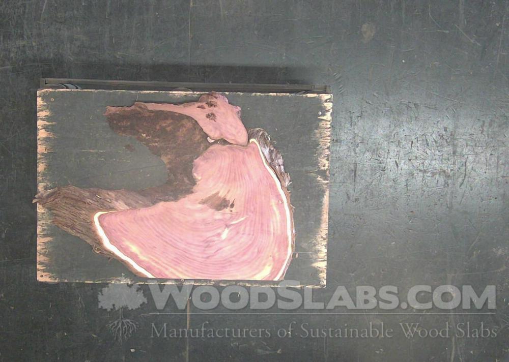 Aromatic Cedar Wood Slab #N2P-LN8-8BVH