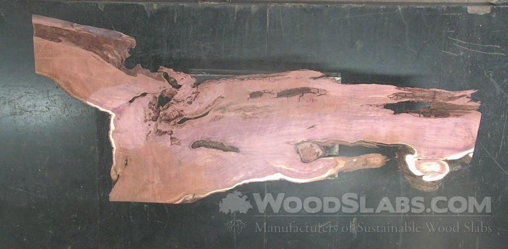 Aromatic Cedar Wood Slab #FGU-CH4-14IZ