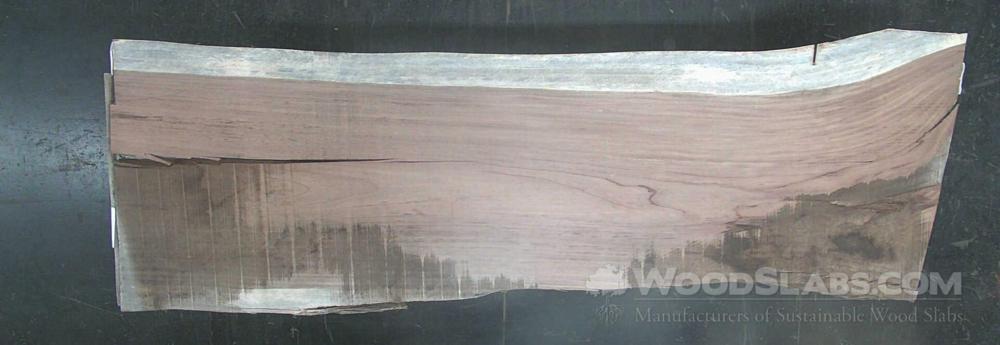 Monkey Pod Wood Slab #9XT-FJQ-8T25