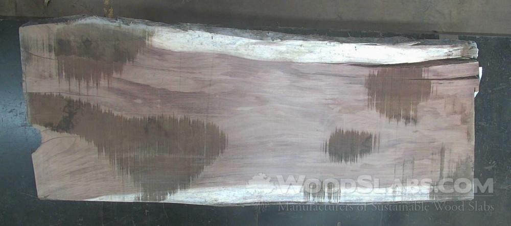 Monkey Pod Wood Slab #T54-C1V-6HLM