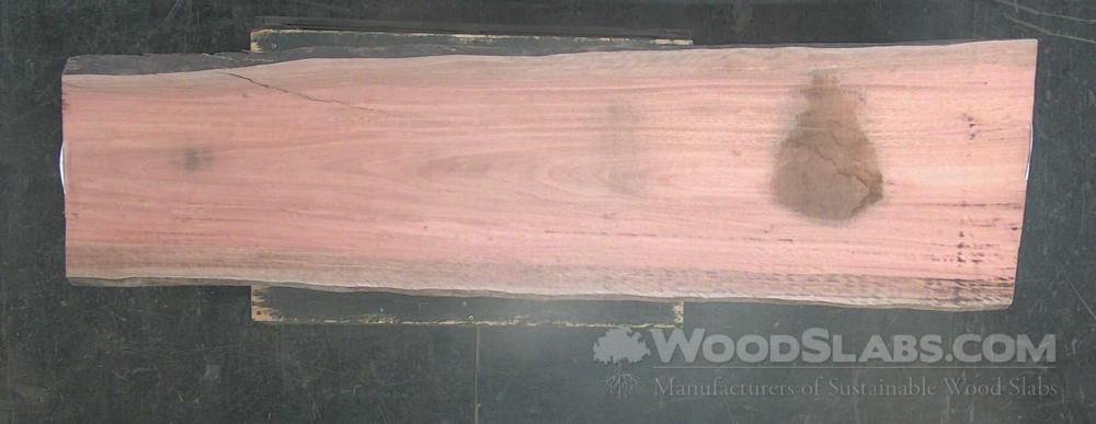 Eucalyptus Wood Slab #92O-IQD-PEJF