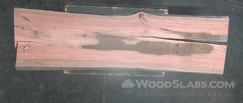 Eucalyptus Wood Slab #TI6-W9X-L4EG