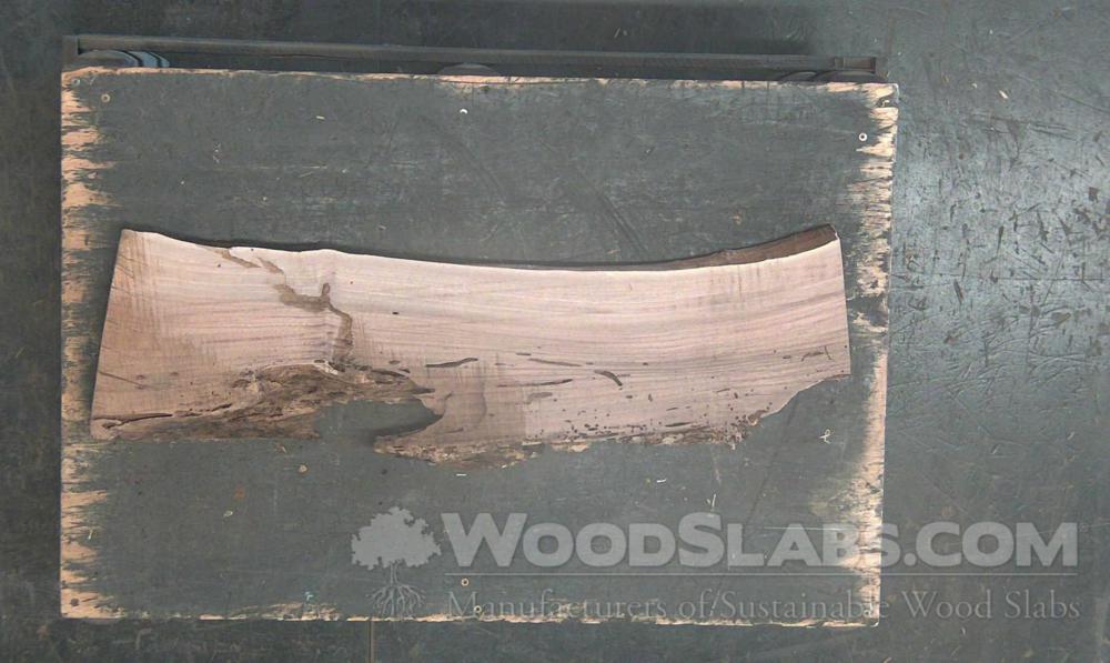 Claro Walnut Wood Slab #FB9-IDK-EPGF