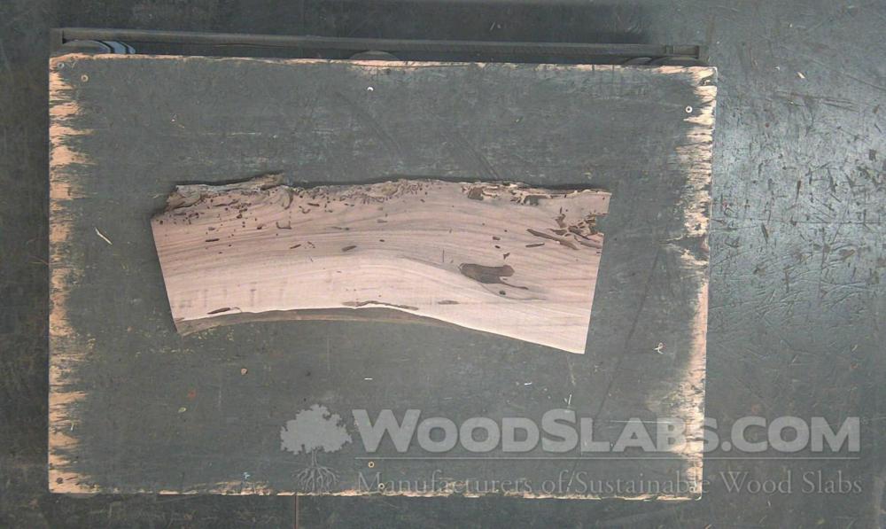 Claro Walnut Wood Slab #37E-M0F-ERPW