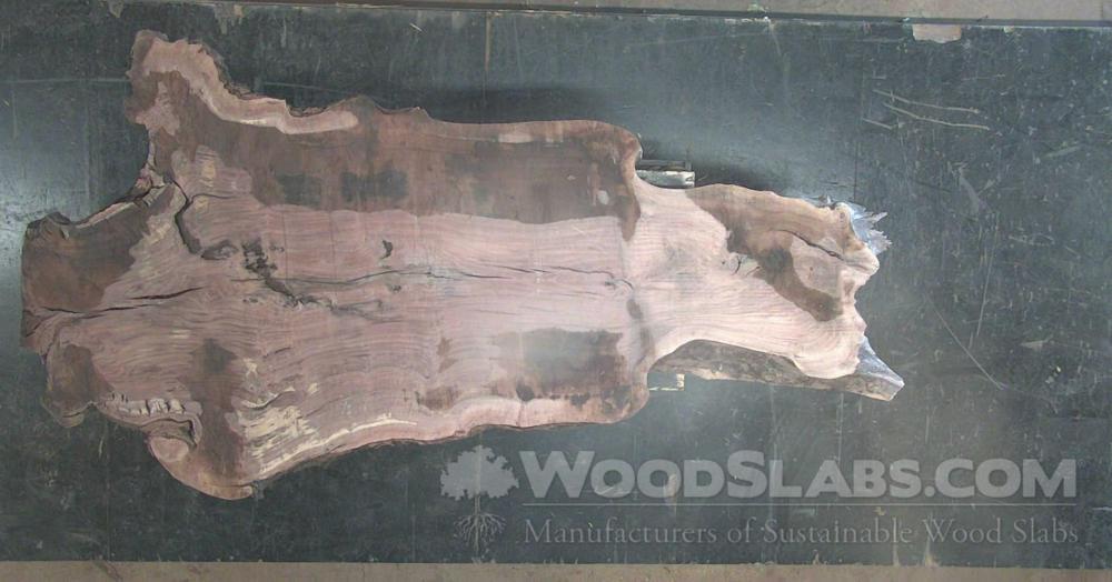 Claro Walnut Wood Slab #I4U-34G-CXLL