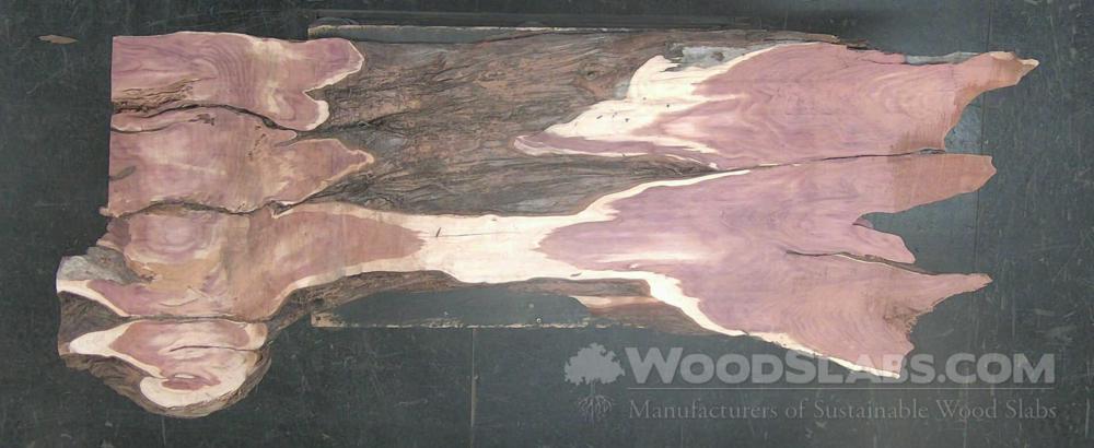 Aromatic Cedar Wood Slab #FXK-ITS-6IOZ