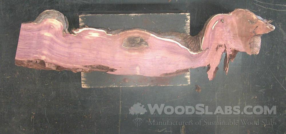 Aromatic Cedar Wood Slab #3SF-MJW-ZZTU