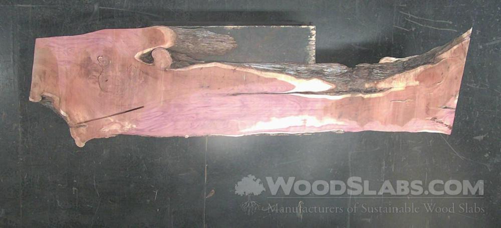 Aromatic Cedar Wood Slab #SFL-FBS-LUCE