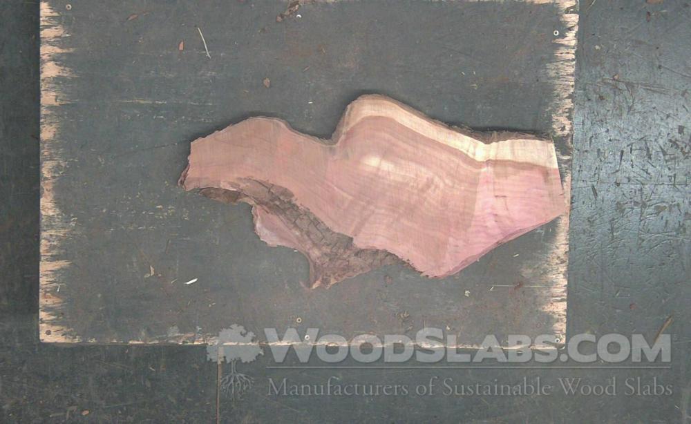 Aromatic Cedar Wood Slab #ZTA-SQH-CHN6