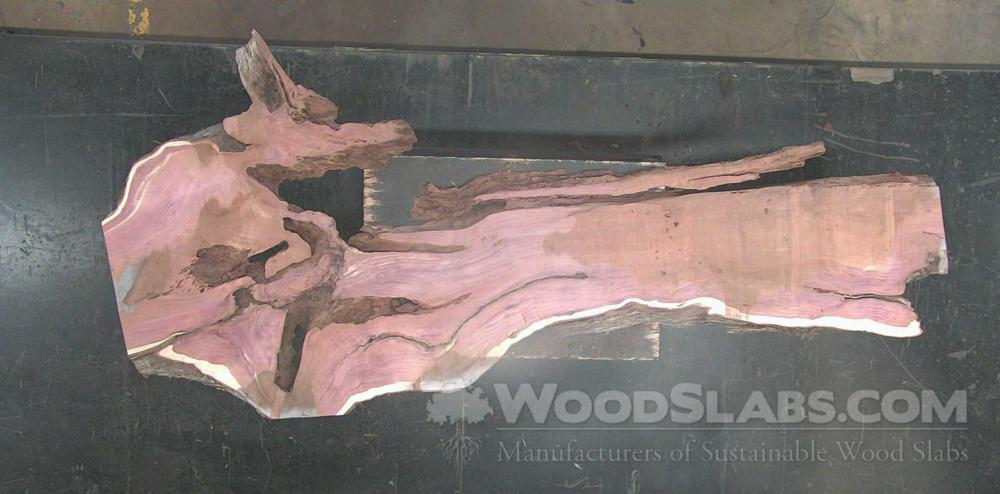 Aromatic Cedar Wood Slab #Z5Z-AT6-X3P6