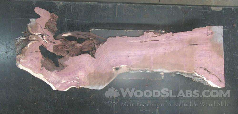 Aromatic Cedar Wood Slab #6EE-2N1-HXT5