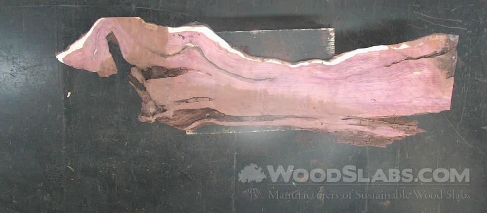 Aromatic Cedar Wood Slab #NWR-26D-OH13